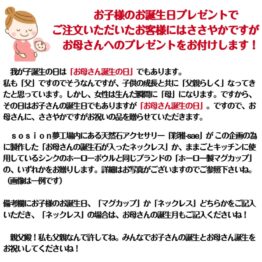 お母さん誕生祝いの説明「備考欄に書く」