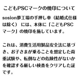 teoshi-kodomo-psc-bun