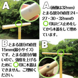 free_1750209116059 (1)