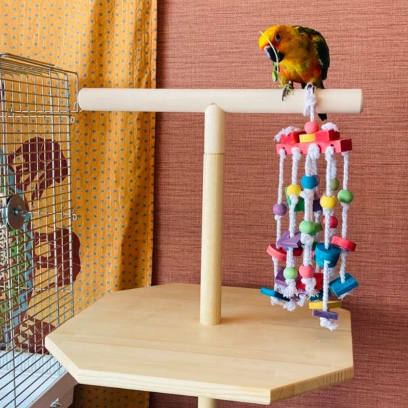 手作り 木製 とまり木 止まり木 放鳥 休憩 小鳥 文鳥 セキセイインコ ボタンインコ オカメインコ 送料込み Sosion夢工場