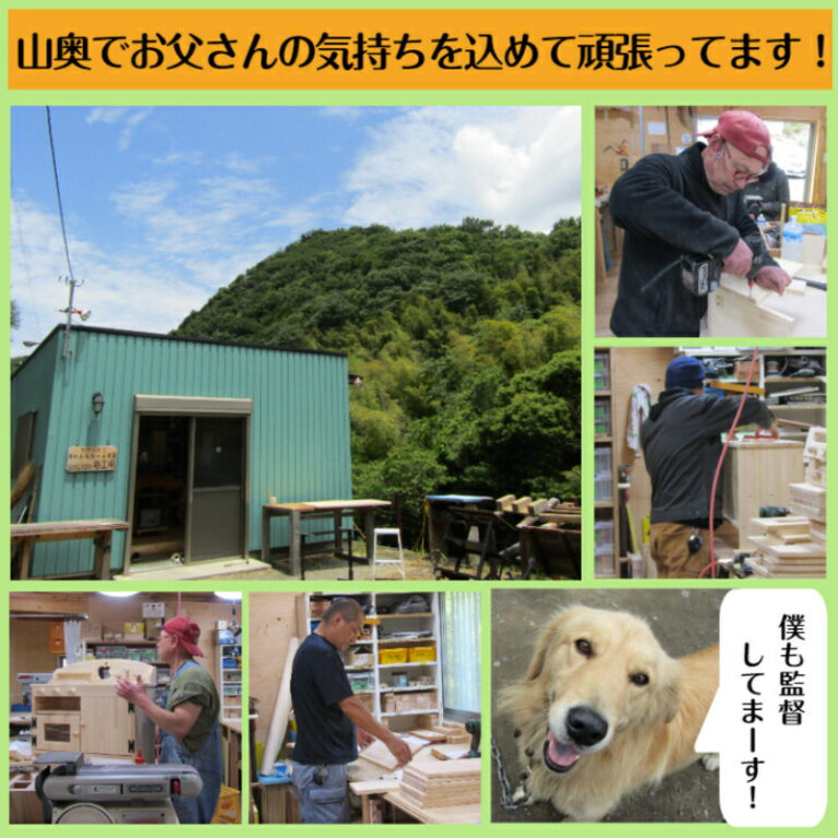 free_1655095166556