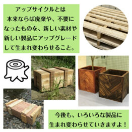 free_1714822407865