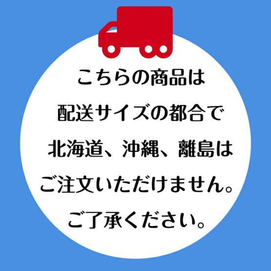 手作り木製 園児用 収納 ロッカー 5列（完成品） - 画像 (13)