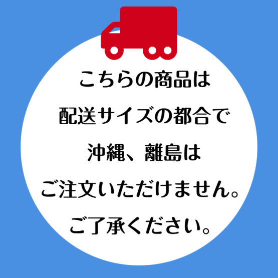 手作り木製 園児用 収納 ロッカー 2列（完成品） - 画像 (9)