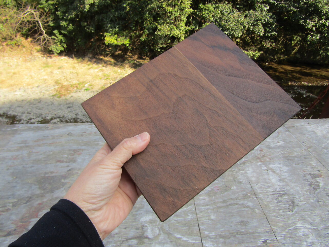マホガニーのミニまな板