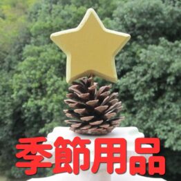 季節用品